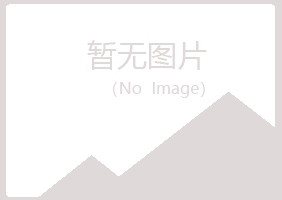 原平初夏能源有限公司